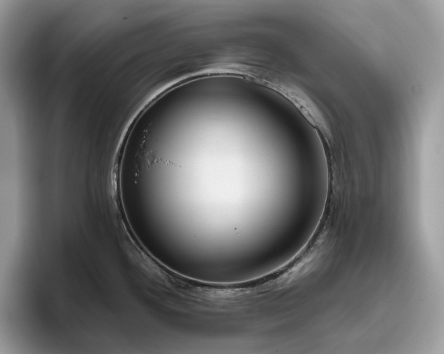 X0000095931292200801251042