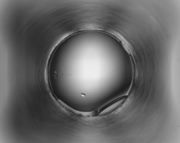 X0000095931293200801251042