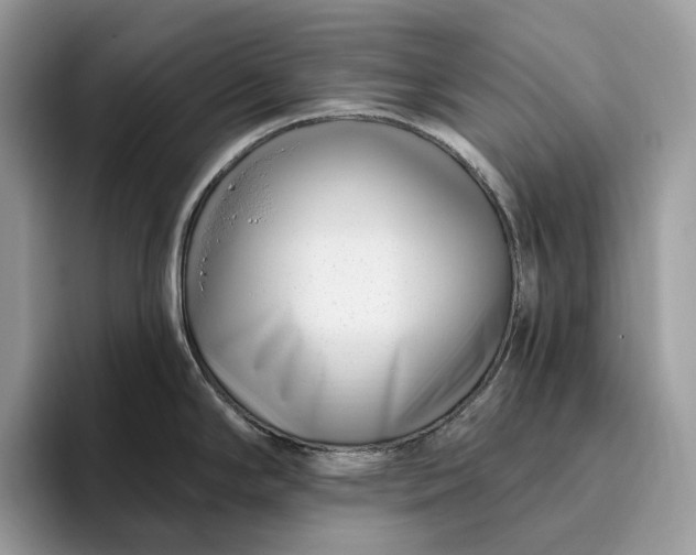 X0000095931294200801251042