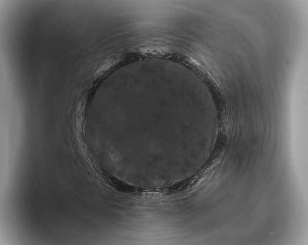 X0000095931297200801251042
