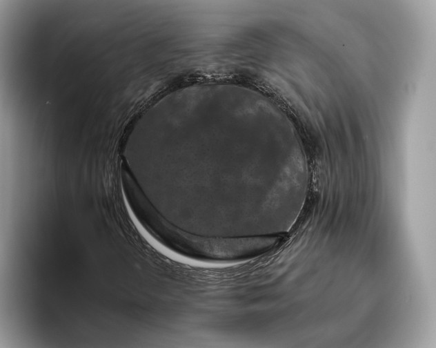 X0000095931298200801251042