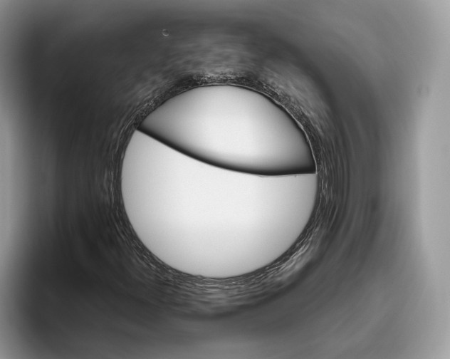 X0000095931300200801251042