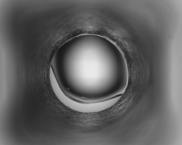 X0000095931301200801251042