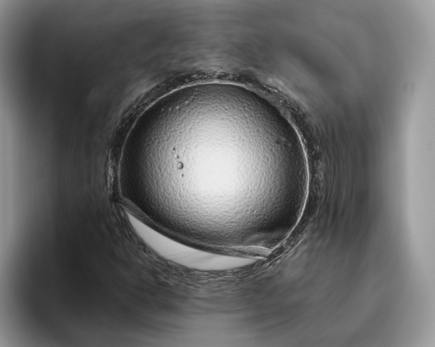 X0000095931302200801251042