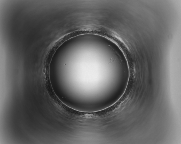X0000095931304200801251042