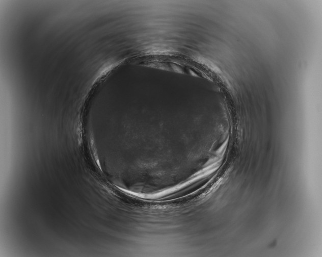 X0000095931306200801251042