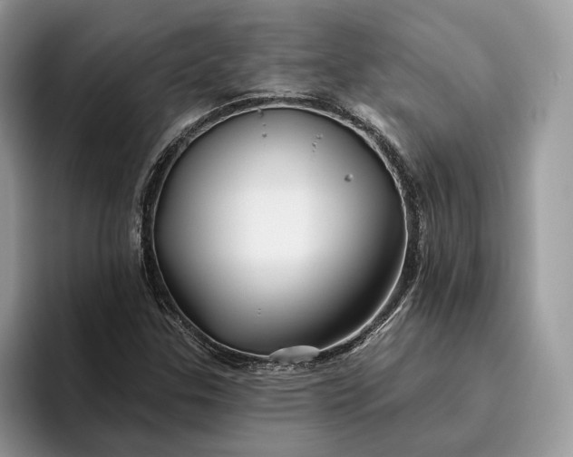 X0000095931307200801251042