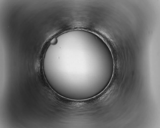 X0000095931309200801251042