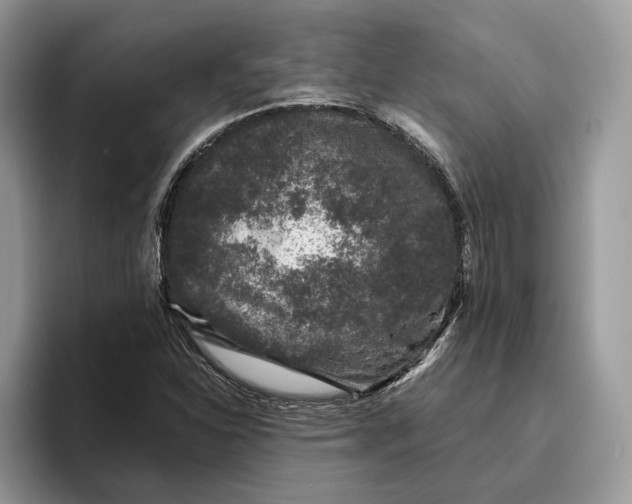 X0000095931310200801251042