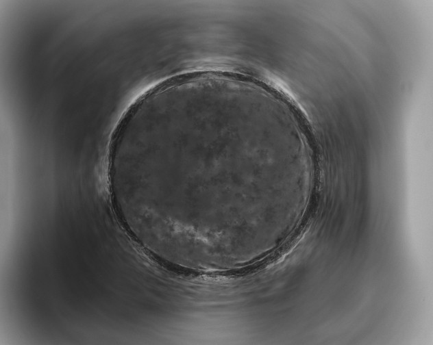 X0000095931312200801251042