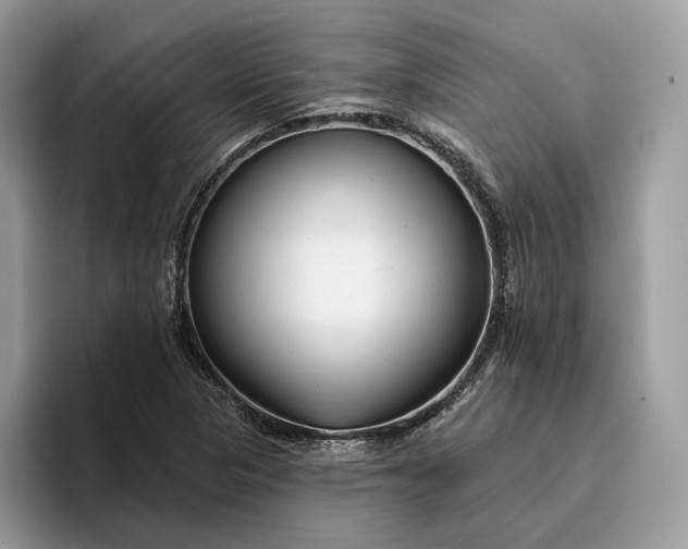 X0000095931313200801251042