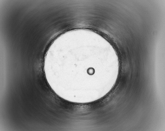X0000095931314200801251042
