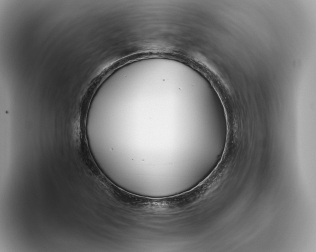 X0000095931315200801251042