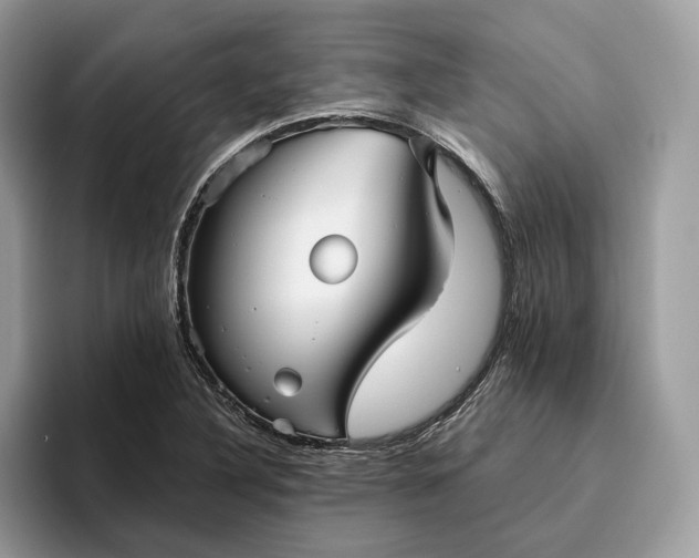 X0000095931316200801251042