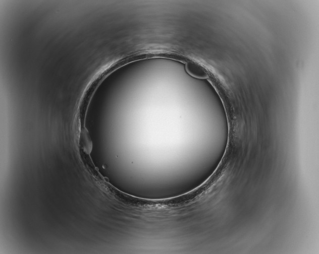 X0000095931317200801251042