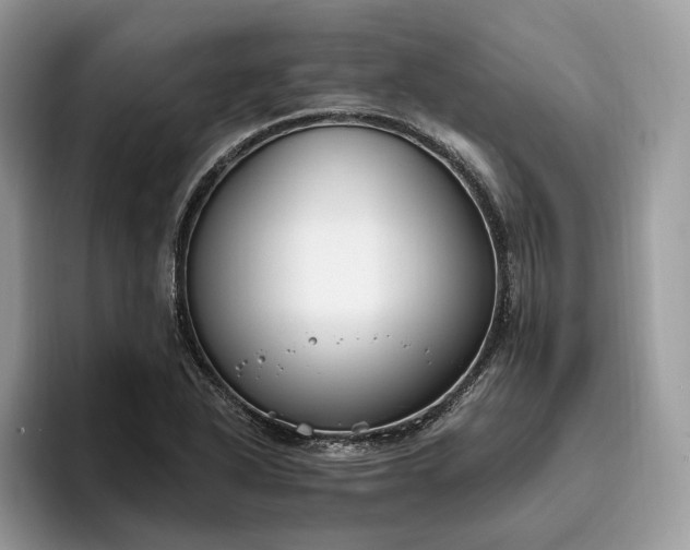 X0000095931318200801251042