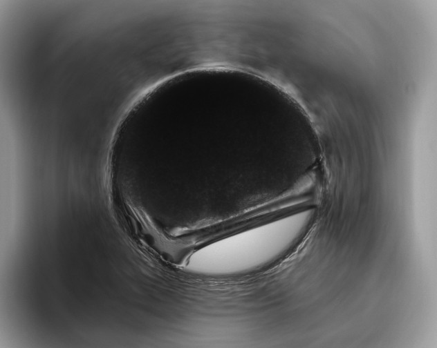 X0000095931319200801251042