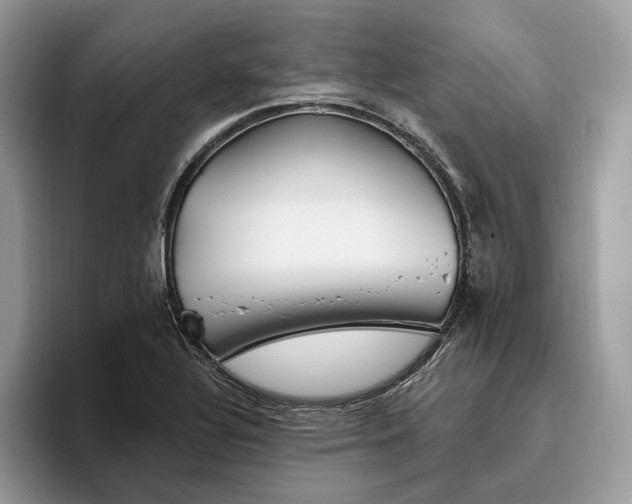 X0000095931320200801251042