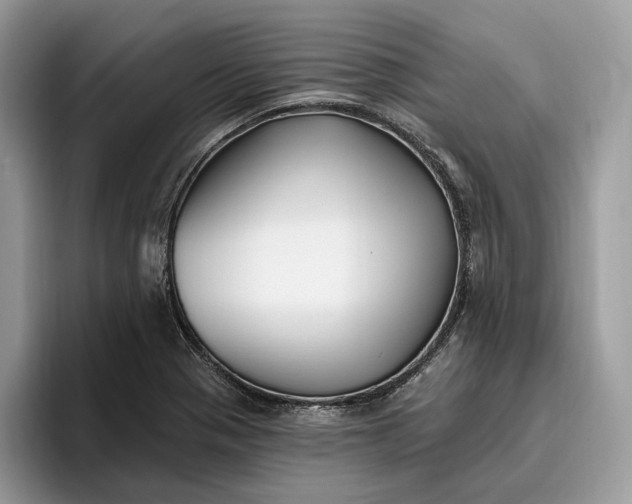 X0000095931321200801251042