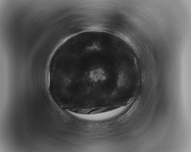 X0000095931323200801251042