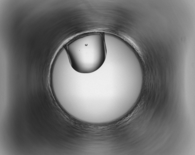 X0000095931324200801251042