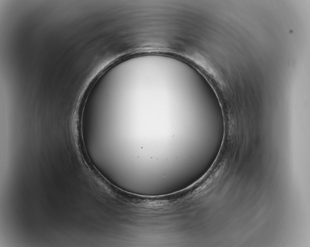 X0000095931325200801251042