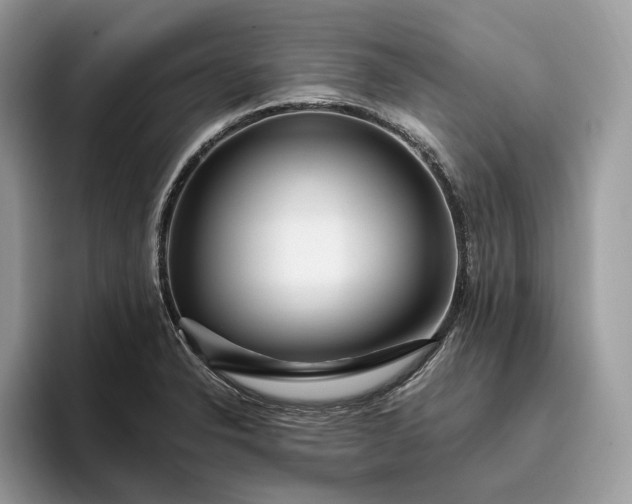 X0000095931326200801251042