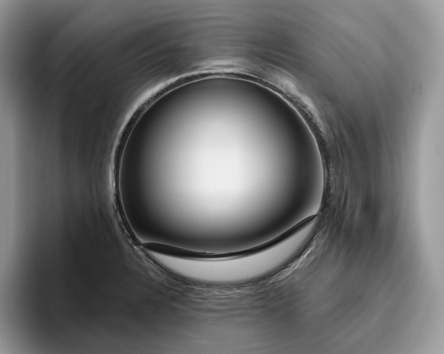 X0000095931328200801251042