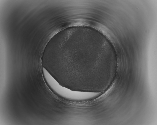 X0000095931329200801251042