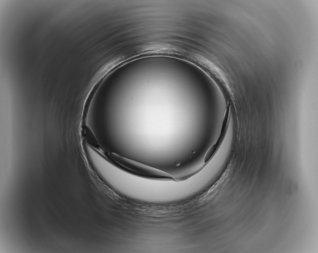 X0000095931330200801251042
