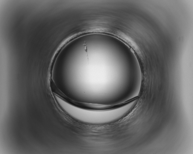 X0000095931332200801251042
