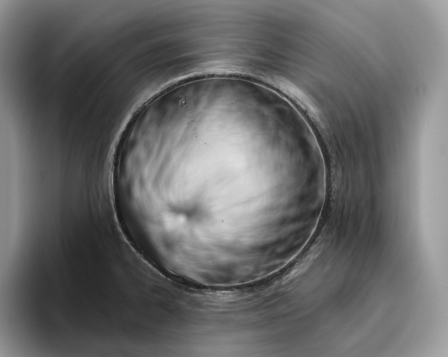 X0000095931334200801251042