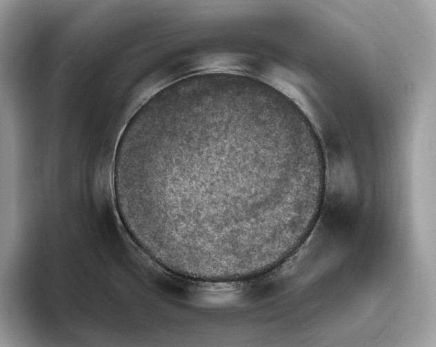X0000095931338200801251042