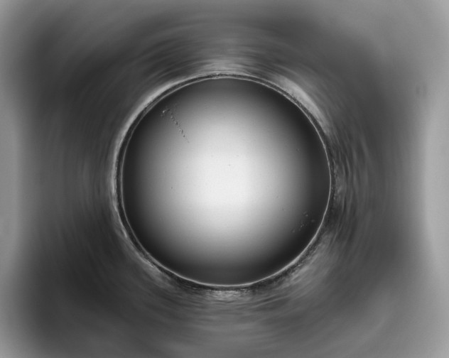 X0000095931339200801251042