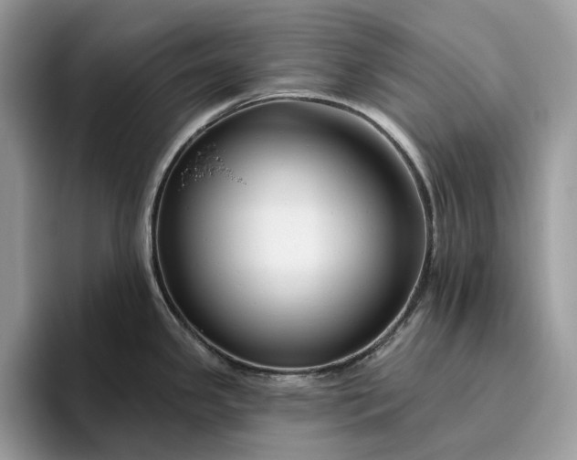 X0000095931341200801251042