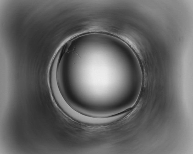 X0000095931342200801251042