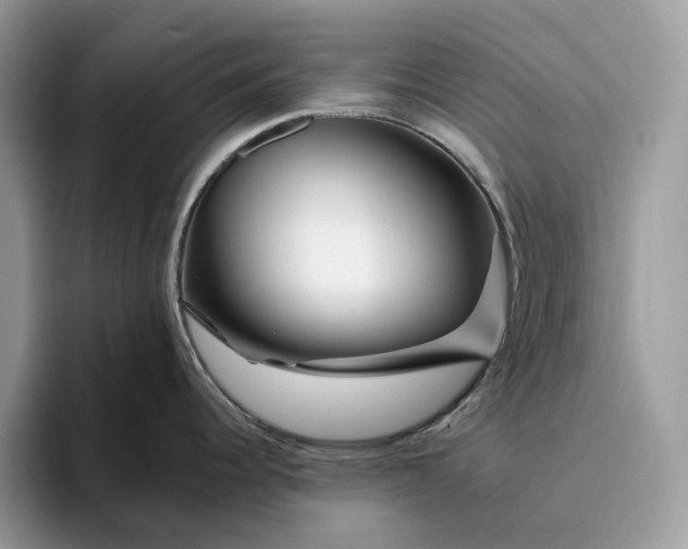 X0000095931344200801251042