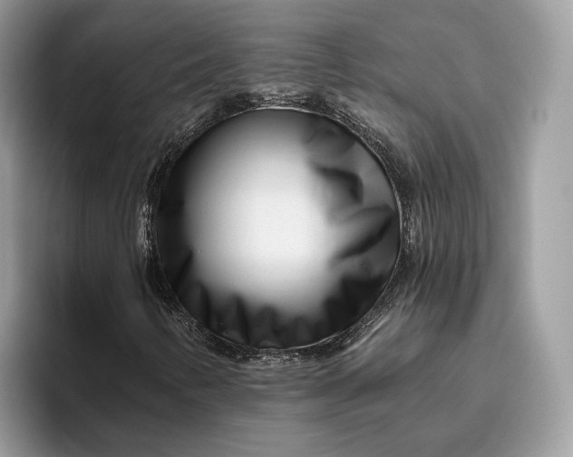 X0000095931346200801251041