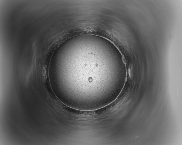 X0000095931347200801251041