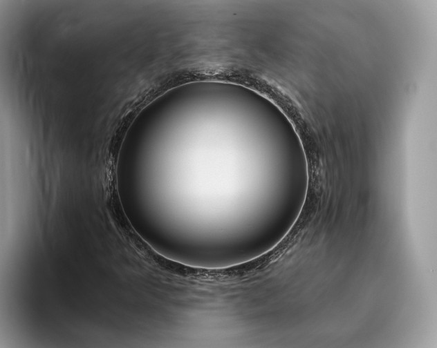 X0000095931349200801251041