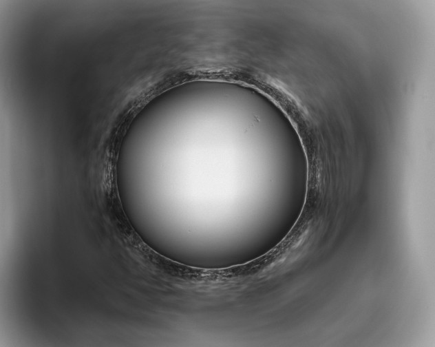 X0000095931350200801251041