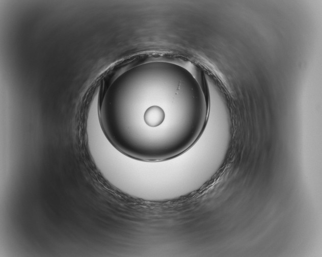 X0000095931352200801251041