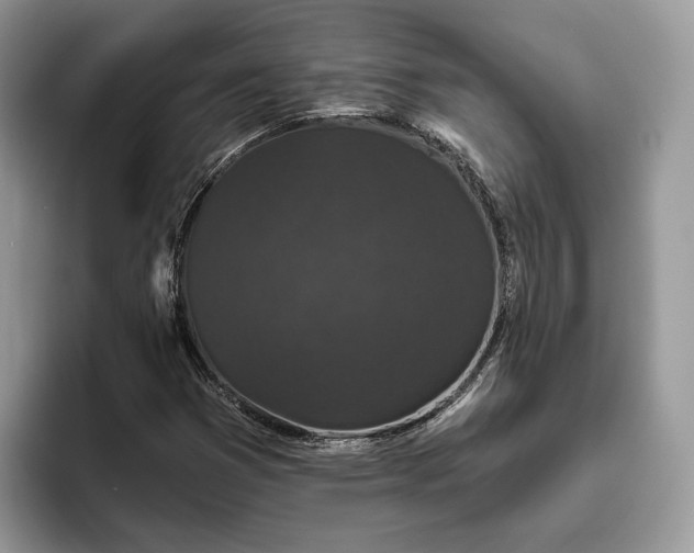 X0000095931353200801251041
