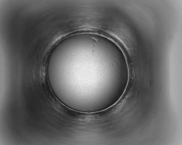 X0000095931355200801251041