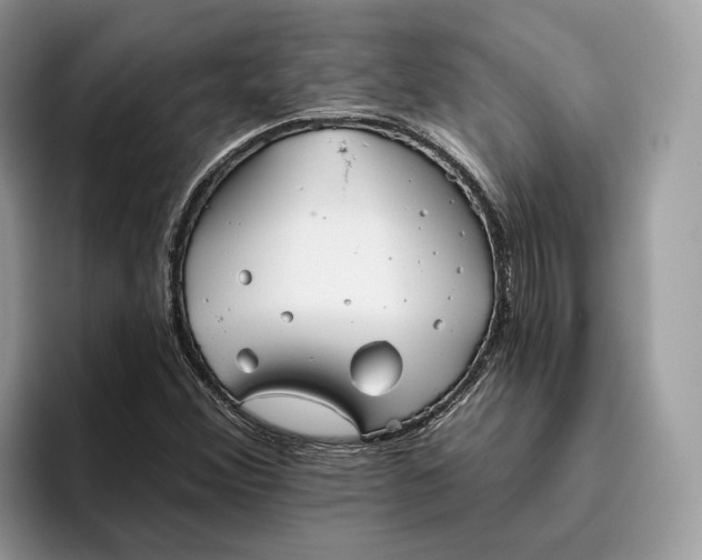 X0000095931356200801251041