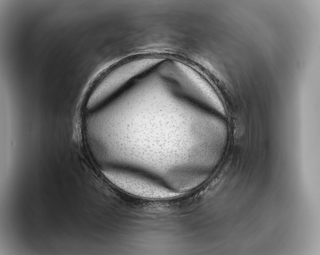 X0000095931358200801251041