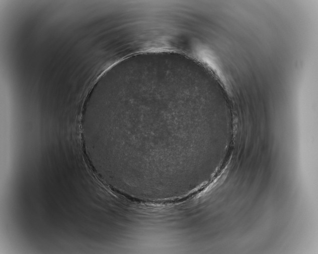 X0000095931361200801251041