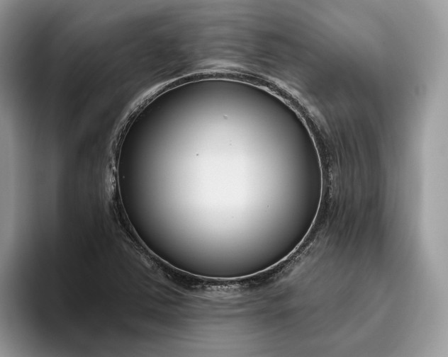 X0000095931363200801251041