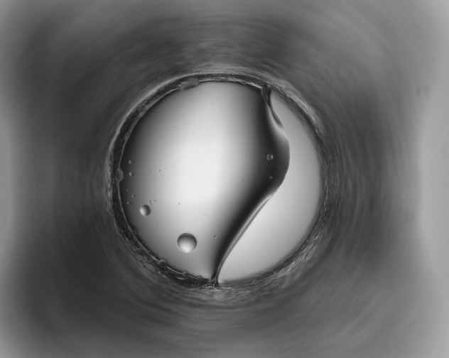 X0000095931364200801251041