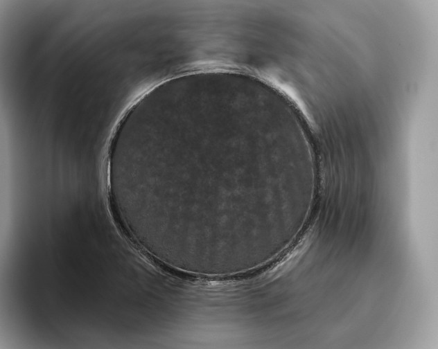 X0000095931365200801251041